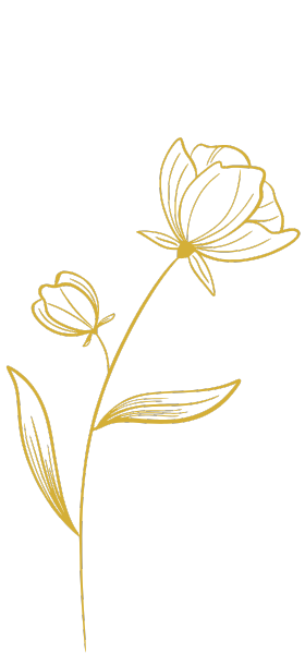 Fleur délicate symbolisant la douceur et l’élégance du menu de la Fête des Mères au restaurant L’Absolu à Auros
